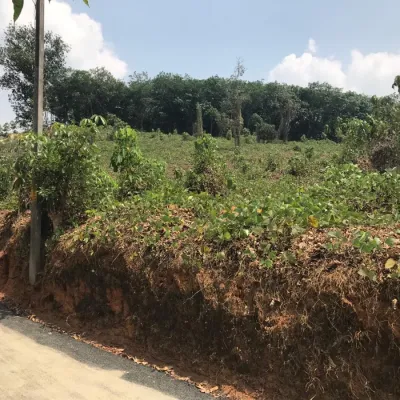 40 cent plot for sale Maneed, Vettithara, Piravom in Choondy