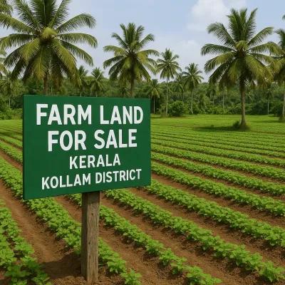 Farm land in Perinad Kollam district for sale Nine Acres in Perumon Lake (Ashtamudi)