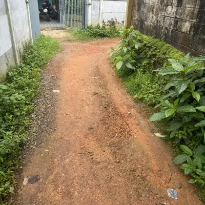 14 Cents Plot at Neerikode near Aluva Paravur National Highway in Alangad