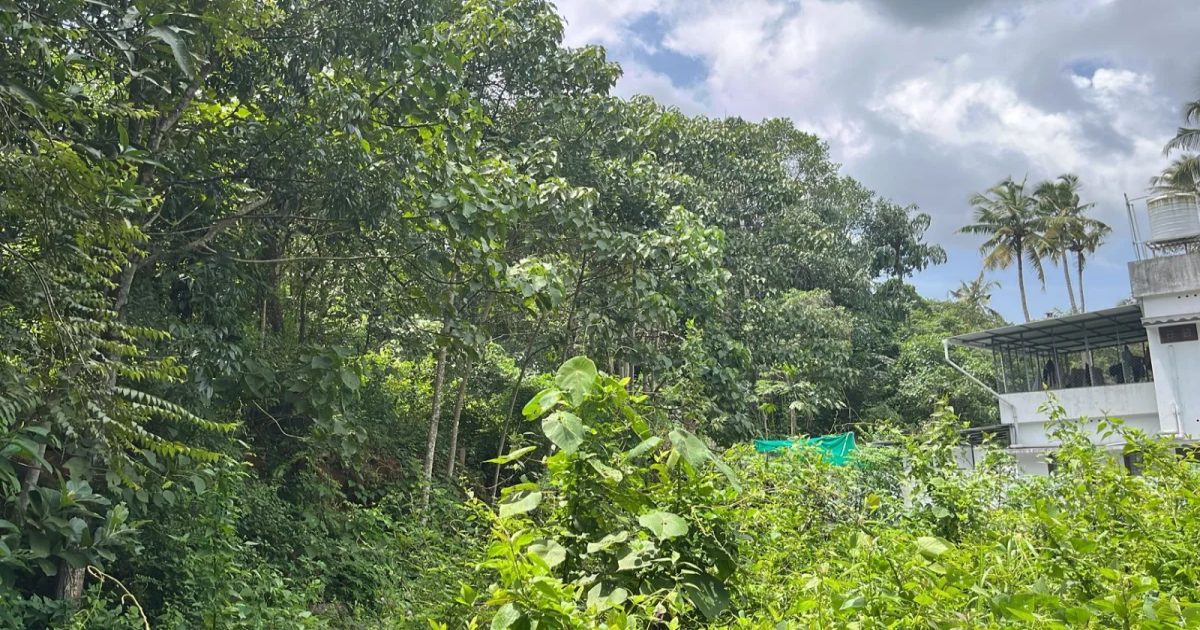 Agricultural Land 87 cents for sale at Perumpuzha Kundara