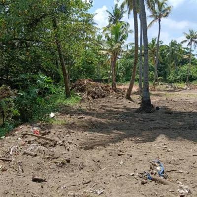 Land For Sale in Kothad - Aster Medicity Kochi - Ernakulam - 83 Cents - 7 Lakhs per Cent in Cheranallor