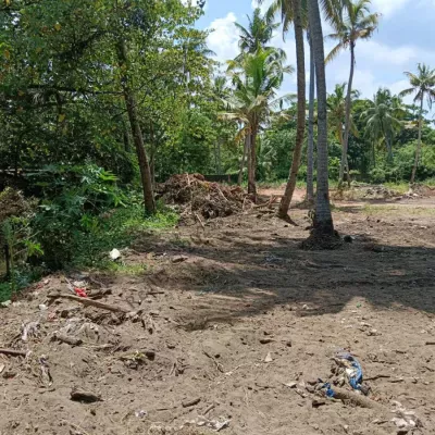 Land For Sale in Kothad - Aster Medicity Kochi - Ernakulam - 83 Cents - 7 Lakhs per Cent in Cheranallor