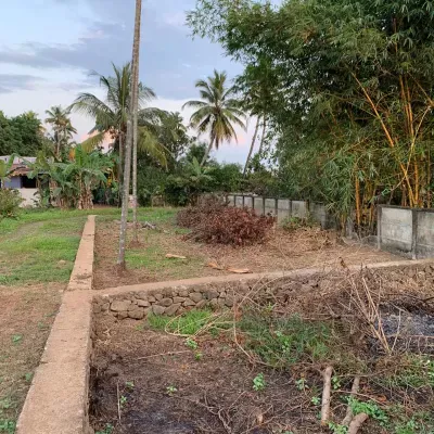 20 Cents Land in Kothad near Aster in Cheranallor