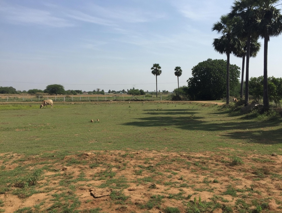 Plot for sale at Maraimalai Nagar