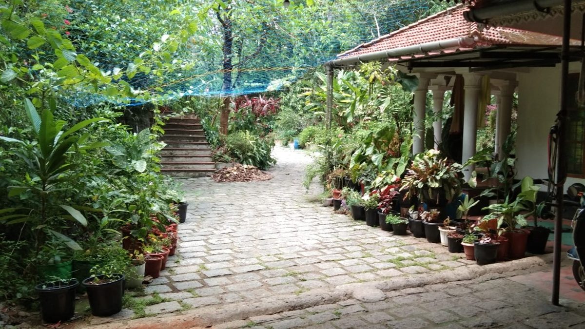 1.35-Acre Eco-Estate for Sale near Kadakkanad Mazhuvannoor