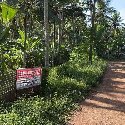 84 cents of land in Kattakkada along the Dam Road for sale

 in Kattakkada