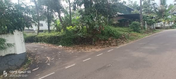 8 cents of land for sale in front of the Kadayiruppu PWD road near Kolenchery