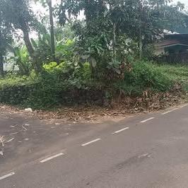 8 cents of land for sale in front of the Kadayiruppu PWD road near Kolenchery in Kadayiruppu