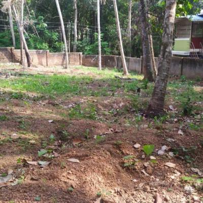 Housing plot for sale at Thirumala, Thiruvananthapuram in Thirumala