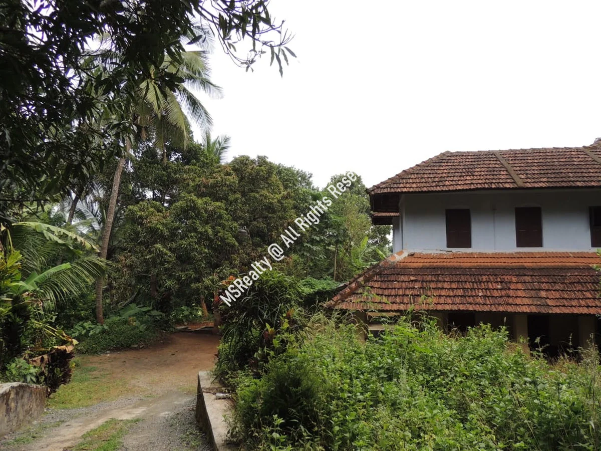 Traditional Kerala-style House and land  for Sale at Ottapalam,  Palakkad image 2
