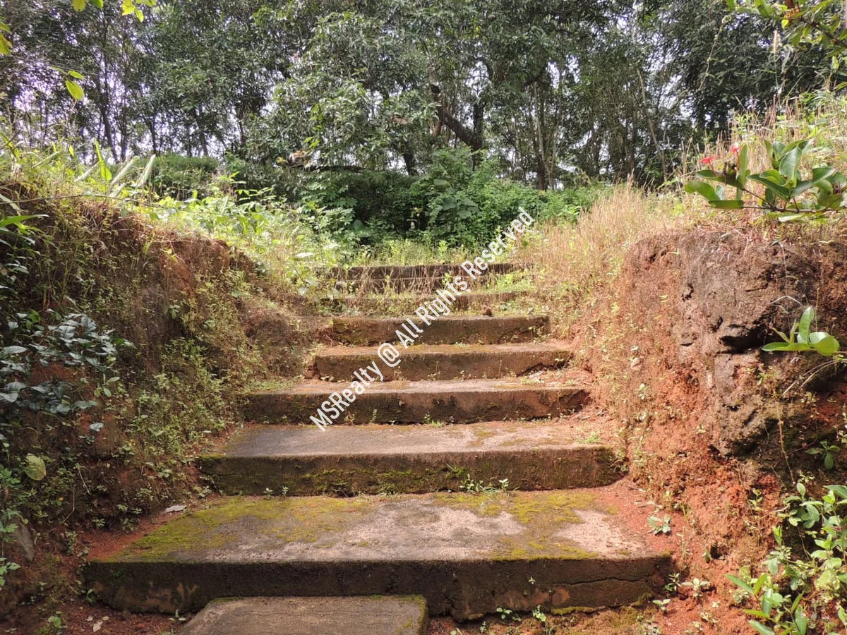 Traditional Kerala-style House and land  for Sale at Ottapalam,  Palakkad image 4