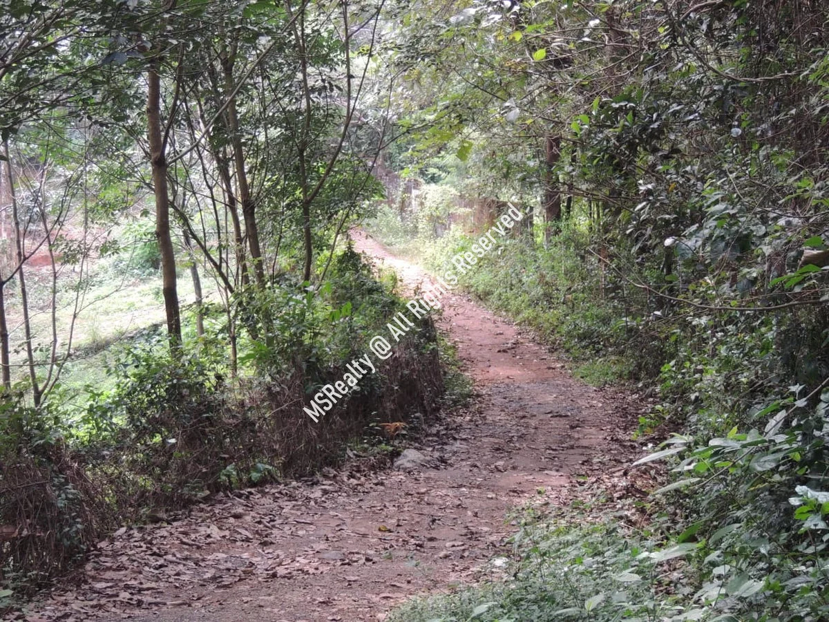 Traditional Kerala-style House and land  for Sale at Ottapalam,  Palakkad image 5