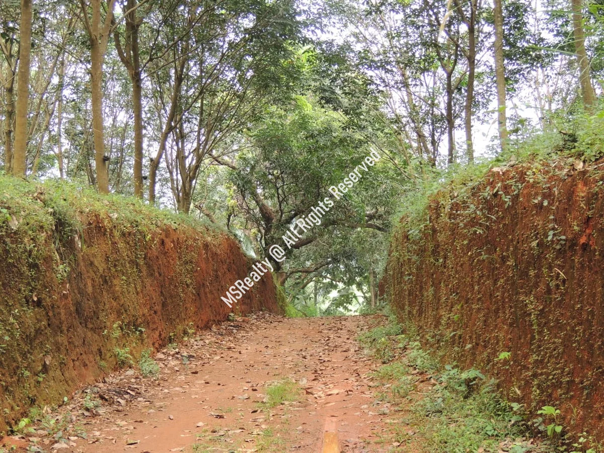 Traditional Kerala-style House and land  for Sale at Ottapalam,  Palakkad image 6