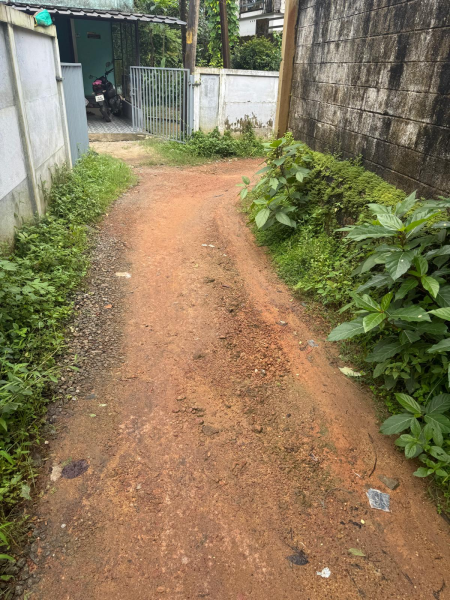 14 Cents Plot at Neericode near Aluva Paravur National Highway