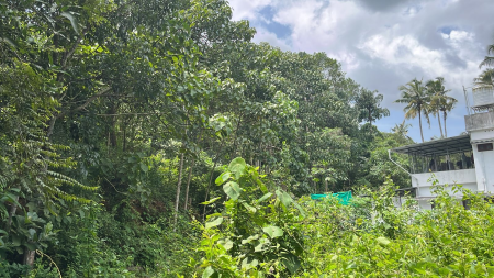 Agricultural Land 87 cents for sale at Perumpuzha Kundara