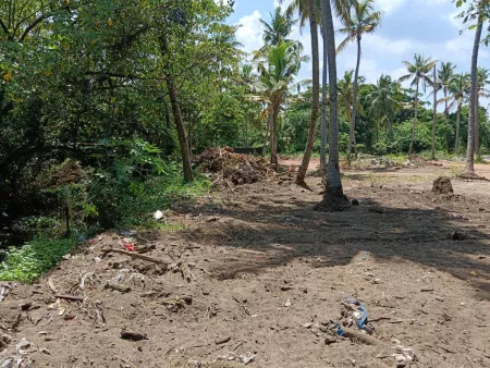 Land For Sale in Kothad, Kochi - 83 Cents - 7 Lakhs per Cent