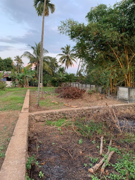 20 Cents Land in Kothad near Aster